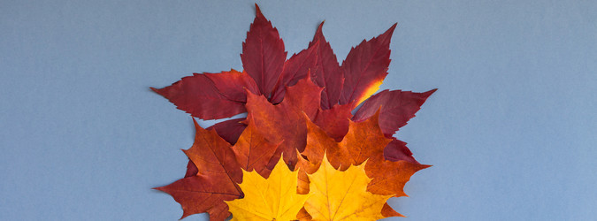 Similar image 21230736