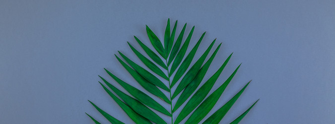 Similar image 21230738