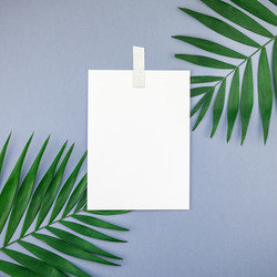 Similar image 21230747