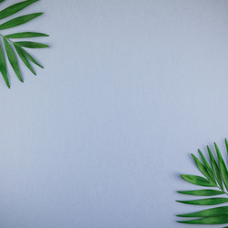 Similar image 21230860