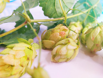 Similar image 21206345