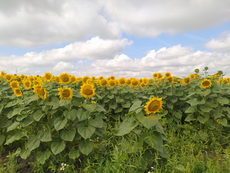 Similar image 21206358