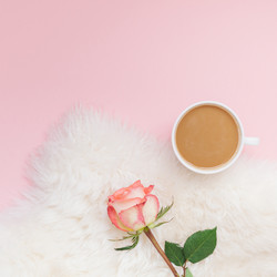 Similar image 21230448