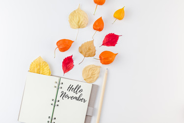 Similar image 21230883