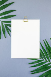 Similar image 21231151