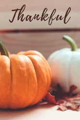 Similar image 21231156