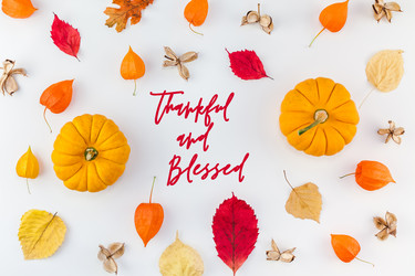 Similar image 21231161