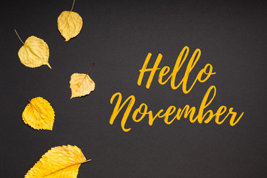 Similar image 21210703