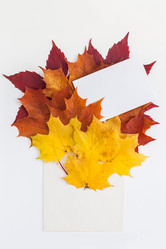 Similar image 21210764