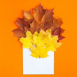 Similar image 21222199