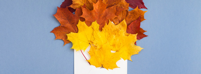 Similar image 21222201