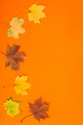 Similar image 21222203