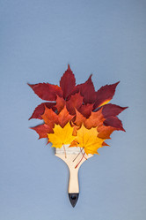 Similar image 21228296