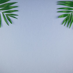 Similar image 21230293