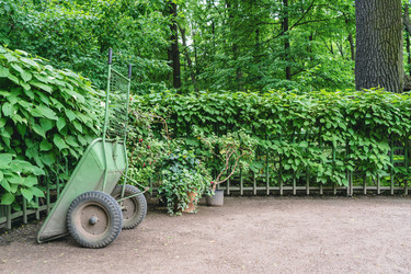 Similar image 21223187