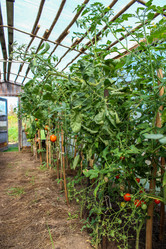 Similar image 21210486