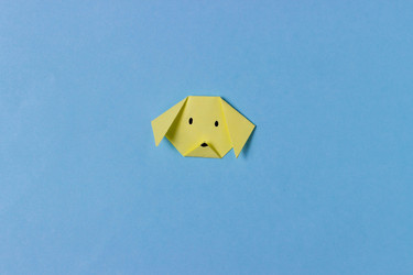 Similar image 21223294