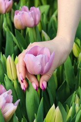 Similar image 21210902