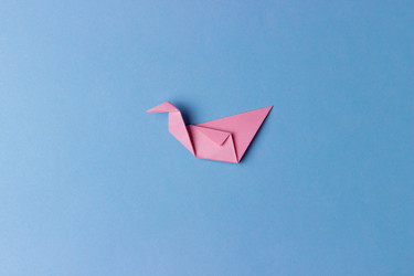 Similar image 21214608