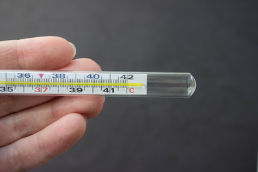 Similar image 21210508