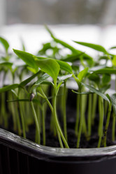 Similar image 21210510