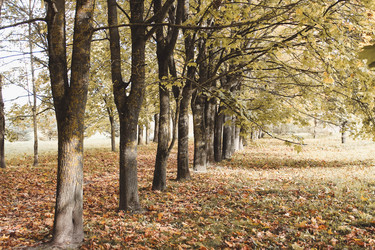 Similar image 21210513