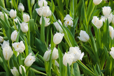 Similar image 21214619