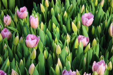 Similar image 21223304