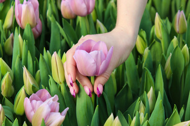 Similar image 21214620