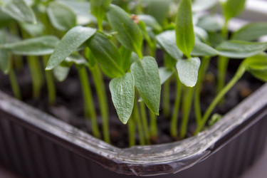 Similar image 21223306