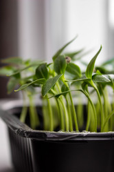 Similar image 21214623