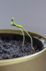 Similar image 21210526