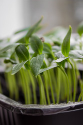 Similar image 21217511