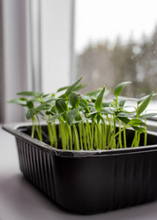 Similar image 21217512