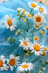 Similar image 21214362