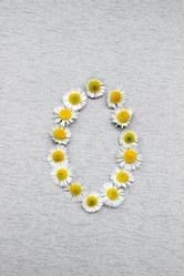 Similar image 21240553