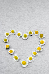 Similar image 21226293