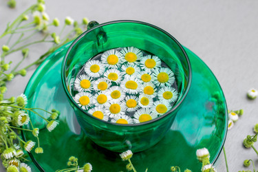 Similar image 21226294