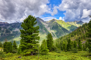 Similar image 21218578