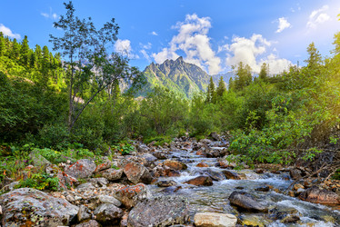 Similar image 21218579