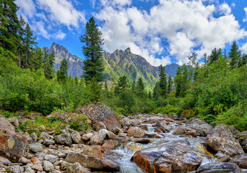 Similar image 21218582