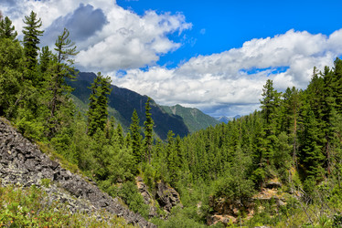 Similar image 21218599