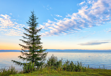 Similar image 21218600