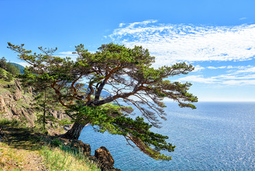 Similar image 21234574