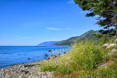 Similar image 21234594