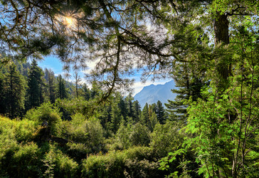 Similar image 21236481