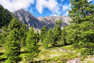 Similar image 21236483