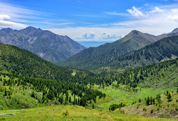 Similar image 21236484