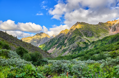 Similar image 21236512