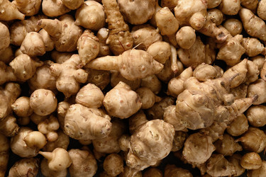 Similar image 21203755